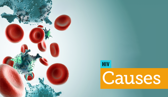 Hiv Cause Prevention And Risk Factors Myhivteam